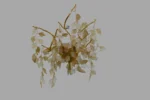 Das Licht Golden Ivy Glass Leaf Chandelier