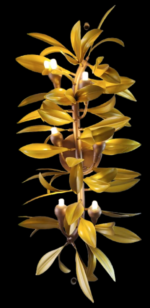 Das Licht Golden Foliage Glow - Image 4