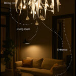 Das Licht The Gossamer Cygnet Dream